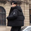 Flying in the Snow Goose Down Series Down Jacket Men's Short Hooded Winter New Fashion Gradient Coldproof Warm Jacket for Men