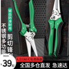 LAOA (LAOA) multifunctional household scissors, stainless steel scissors, gardening scissors, kitchen bone scissors, multipurpose scissors, 8 multipurpose electrician scissors