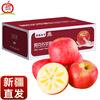 Aksu Apple Xinjiang Direct Mail Authentic Xinjiang Aksu Rock Candy Heart Apple Fruit Fresh Seasonal Red Fuji Ugly Apple 5 catties of high-quality fruit丨Single fruit 80-100mm丨Net weight 4.5 catties (7-9 pieces)