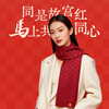 Palace Museum Cultural and Creative Hunan Beauty Workshop Bingwu Year of the Horse Warp and Weft Pattern Red Scarf to Keep Cold and Warmth Versatile