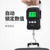 Today's selection (jinxuan) portable high-precision gram scale with tape measure, vegetable hook, weighing, portable mini crane scale, spring luggage express scale, upgraded battery model with tape measure, 75 kg, accuracy 5 grams