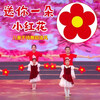 He Jiagong's Little Flower Dance Props gives you a little red flower for New Year's Day kindergarten children's chorus performance holding sunflower red flower wrist flower 20CM four pack