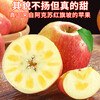 Jingdida’s authentic Xinjiang air-shipped Aksu apples, net weight 5 catties, single fruit 85mm + fresh fruit direct from source, free shipping