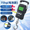 Today's selection (jinxuan) portable high-precision gram scale with tape measure, vegetable hook, weighing, portable mini crane scale, spring luggage express scale, upgraded battery model with tape measure, 75 kg, accuracy 5 grams