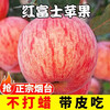 Authentic Yantai Qixia apple boutique gift box new fruit first stubble crisp sweet red Fuji fresh in season 1 catties in box (from 70mm)