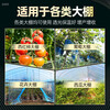 Anti-aging plastic sheet greenhouse plastic film anti-aging drip-free film vegetable greenhouse insulation film transparent greenhouse film 10S thick imported anti-aging high insulation greenhouse film 10 meters wide and 15 meters long