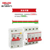 Delixi Electric leakage protector high current household leakage protection air leakage protection circuit breaker DZ47LE-125 2P li(C) 125A