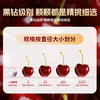 SF air freight imported cherries from Chile, fresh fruit for pregnant women, large cherries, 3j4j cherries, whole box, 0.9 catties (net weight) 2J (28-30mm) | Ordinary packaging