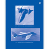 Understanding Flight (Second Edition) Revealing the Principles of Airborne Flight_Correcting Common Cognitive Errors