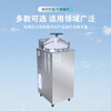 Boxun vertical pressure steam sterilizer (Boxun Lixiao BXLX-135G control software V1.0) YXQ-50G