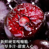 Meiyuexian champion quality Chilean cherries in gift box imported cherries, gift group purchase, SF part can be delivered the next day, 5 catties (net weight), original box ready, not unpacked to keep fresh, more hygienic, large fruit J grade, single fruit 6-8g