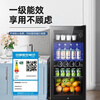 CHIGO Ice Bar Small Household Large Capacity Refrigerator Fresh Cabinet Transparent Beverage Refrigerator Office Red Wine Tea 90L Full Refrigeration + LED Light + Lock