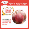 Longduoxian Xinjiang Rock Candy Apples, Ugly Apples, Fresh Fuji Seasonal Fruits, Holiday Gift Recommendations, Whole 5 Jin of Selected Good Fruits, 75-80MM, Net 4.5 Jin