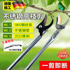 CLCEY precision pruning shears, branch scissors, retractable high-branch scissors, long pole, long handle, high-altitude pruning of fruit trees, 2 points, 3-4 meters, upgraded telescopic saw, scissors and picking, three-use gardening 2-piece set