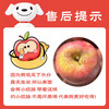 Authentic Xinjiang Rock Candy Heart Apple Red Fuji Fresh Fruit Seasonal Apple Gift Holiday Gift Box 10 Jin Whole Box Single Fruit 75-90mm Net Weight 8.5 Jin+