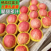 Authentic Yantai Qixia apple boutique gift box new fruit first stubble crisp sweet red Fuji fresh in season 1 catties in box (from 70mm)