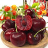 Looking for fresh Chilean cherries in Fujian JD/SF Express - next-day delivery to many places Imported large cherry fruit gift box with optional cherries 0.9 catties (net weight) J tasting pack