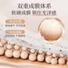 Meikang Fendai Apple Light Translucent Patch Foundation Cream Concealer Long-lasting Hydration and Fit for Girlfriend New Year's Gift Brightening Skin 12g