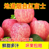 Authentic Yantai Qixia apple boutique gift box new fruit first stubble crisp sweet red Fuji fresh in season 1 catties in box (from 70mm)