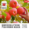 Jingdida’s authentic Xinjiang air-shipped Aksu apples, net weight 5 catties, single fruit 85mm + fresh fruit direct from source, free shipping
