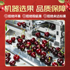 Meiyuexian champion quality Chilean cherries in gift box imported cherries, gift group purchase, SF part can be delivered the next day, 5 catties (net weight), original box ready, not unpacked to keep fresh, more hygienic, large fruit J grade, single fruit 6-8g
