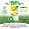 True Citrus Sugar-Free Instant Lemon Juice Powder 0.03 oz 500 Pack