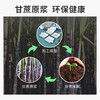 Temeiju disposable plate cake plate outdoor barbecue picnic plate sugarcane paper plate dessert tray 11.3cm 50 pieces