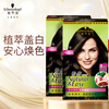 Schwarzkopf Yiran Hair Dye Cream 4.1/9 Linen Brown*2 Hair Dye Cream to cover gray hair by yourself