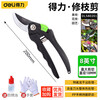 Deli branch shears, pruning shears, fruit branch scissors, garden fruit tree and flower scissors, potted green plants, gardening shears, grafting special, can cut 13mm fruit branches, classic style