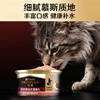 Guanneng adult cat canned food containing salmon 85g*12 cans mousse staple food cans wet food snacks Jingdong self-operated