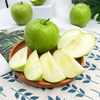 Jingxiansheng French imported green apples, 8 pieces, single fruit weight 130g+, fresh fruit, shipped directly from the source, free shipping