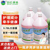 BAIYUN KANGYA Hand Sanitizer (Pink) KY117 Moisturizing Foam Cleansing and Antibacterial Hotel Household Hand Sanitizer Large Barrel Replacement Full Box 3.78L/barrel (4 barrels/box)