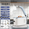 Beautiful You New Recommended Steam Cleaner High Temperature and High Pressure Kitchen Oil Degreasing Household Small Multi-Function Kitchen Range Hood Home Appliances Air Conditioner Refrigerator Cleaning Machine Standard Basic Model Daily Cleaning - Recommended Shoot 1 and 12 Whole House Cleaning and Cleaning with One Machine