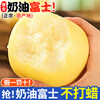 Authentic Shandong Yantai Creamy Fuji Apple Crispy, Sweet and Juicy 2kg 60-90mm
