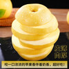 Authentic Shandong Yantai Creamy Fuji Apple Crispy, Sweet and Juicy 2kg 60-90mm