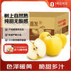 Try Weihai Golden Venus Apple, single fruit starting from 160g, 9 pieces in pack, fresh fruit, direct shipping from the source, free shipping