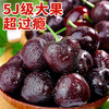 Tian Liangji Golden Diamond Grade Cherries JD - next-day delivery in many places. Domestic Dalian Meizao large cherries fresh fruit gift 5 pounds (net weight). The first choice for stocking up. Gift box | The most cost-effective Big Mac. 3JJJ grade. Single fruit 30-32mm (80% of the candidates)