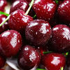 Jingdida Chilean cherries 3J grade Big Mac 2.8 catties single fruit 30-32mm fresh fruit gift box with free shipping from the source