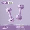 Environmentally friendly hexagonal small dumbbells for women, home fitness, butt training, arm training, home fitness equipment, lilac purple 2KG *2, total 4kg