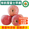 SF Organic Apple Yantai Crisp Sweet Snow Fuji Apple Healthy Pesticide-Free Organic Fruit 4kg 75mm