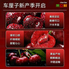 Jingdida Chilean cherries 3J grade Big Mac 2.8 catties single fruit 30-32mm fresh fruit gift box with free shipping from the source