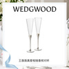 Wedgwood New Year's gift VeraWang True Love Follows Silver Champagne Pair Goblet Goblet True Love Follows Silver Champagne Glass