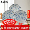 Minoware imported from Japan underglaze colored ceramic bowls and plates 6-piece tableware set