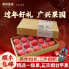 Guangxing Orchard Shandong Red Fuji Apple Yantai Specialty Fresh New Year's Holiday Fruit Gift Box Gift Welfare 80mm 15 pcs