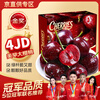 Tian Liangji Golden Diamond Grade Cherries JD - next-day delivery in many places. Domestic Dalian Meizao large cherries fresh fruit gift 5 pounds (net weight). The first choice for stocking up. Gift box | The most cost-effective Big Mac. 3JJJ grade. Single fruit 30-32mm (80% of the candidates)