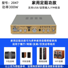 Lossless power amplifier 5.0 cinema high power fever HIFI fixed resistance Bluetooth audio amplifier 2047