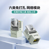 Shanze Category 6 Network Module CAT6 Gigabit Free Crystal Head Female Computer Network Cable Panel Module RJ45 Network Socket Connector Straight Head MKC61