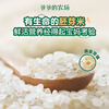 Grandpa's Farm Organic Germ Rice 80g Grain Rice Rice Porridge Children's Nutritional Staple Food Tasting Pack Infant Food Complementary Food Recipe