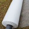 Mulch agricultural planting film agricultural materials insulation and moisturizing agricultural film white mulch film plastic film vegetable greenhouse film whole roll 10 pounds 2 meters wide x 500 meters long