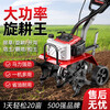 DELIXI ELECTRIC four-stroke drawstring starter agricultural cultivator household vegetable garden scarifier gasoline uplift rotary cultivator